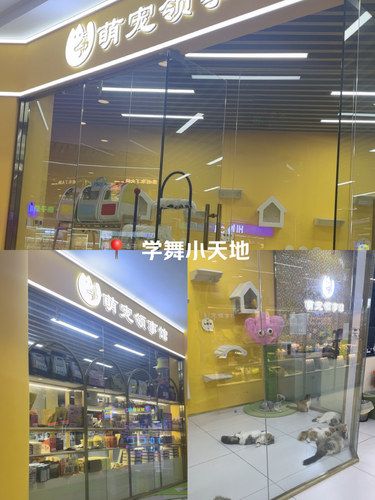 猫咪天地～宠物乐园