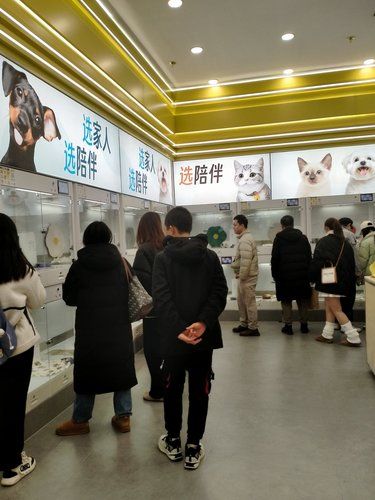超绝宝藏宠物店分享