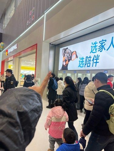 长沙首家！！宠物版山姆超市！！好大好齐全！