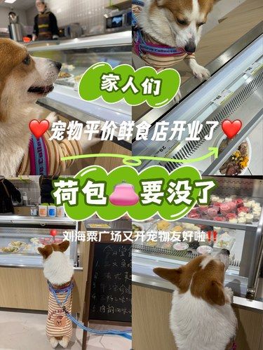 宠物友好 | 鲜食 | 钱包不保[心碎]