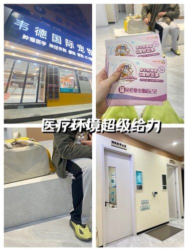 带着毛孩子打疫苗，环境很不错