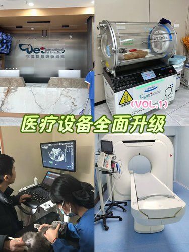 医疗环境超级给力，宠物健康的守护者[强]
