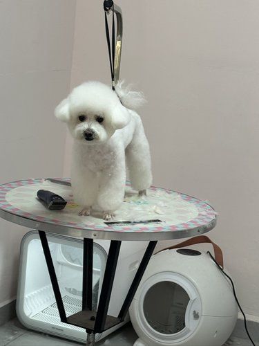 南昌宠物店美容店