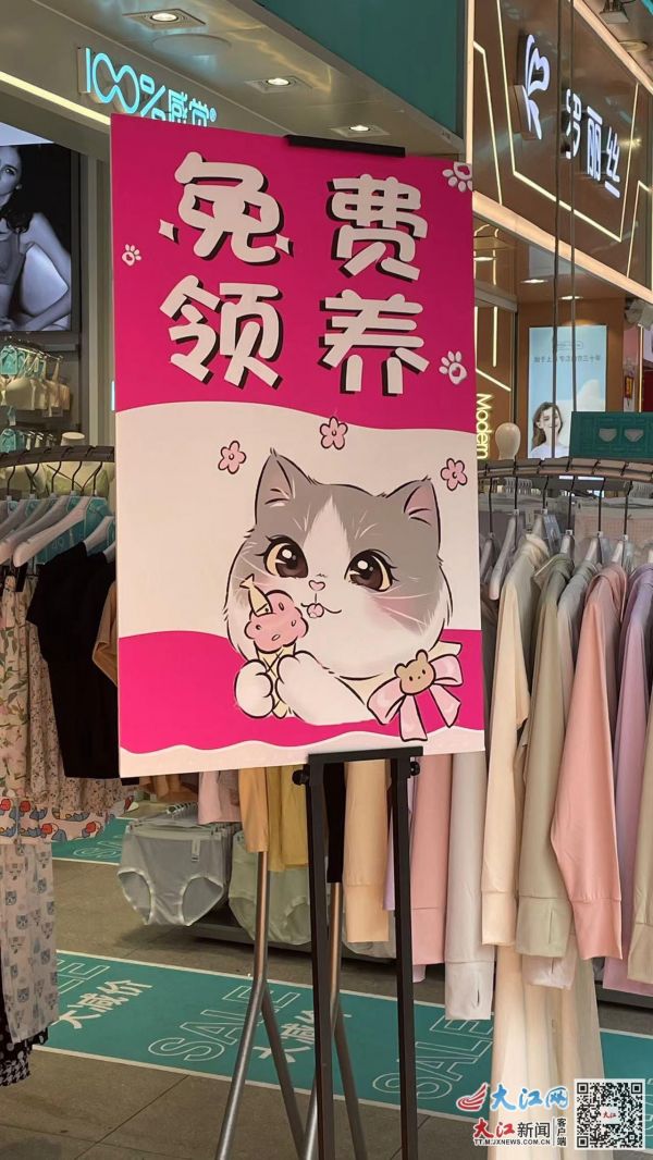 (不少宠物店打着免费领养的招牌)