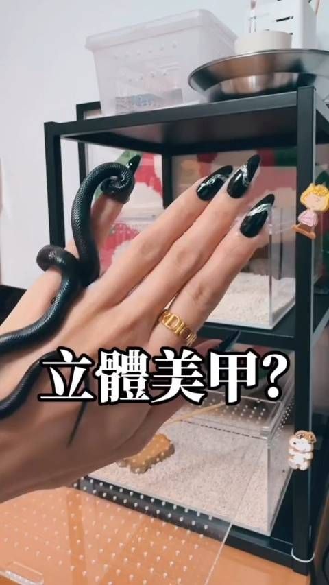 妹子的宠物王蛇