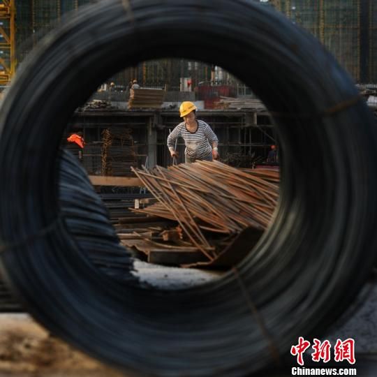 工作中的陈雷 陈娟英 摄