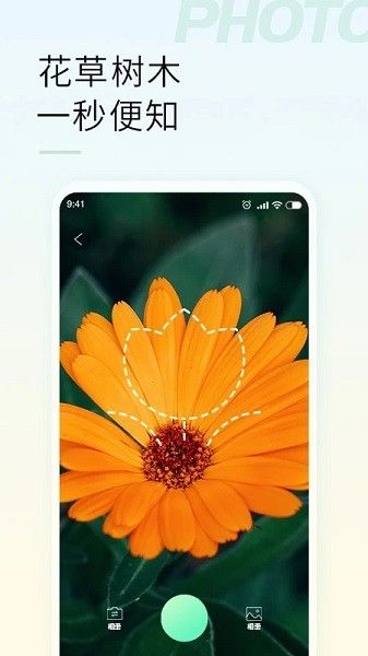 智能拍照识物免费软件v1.3.1 1