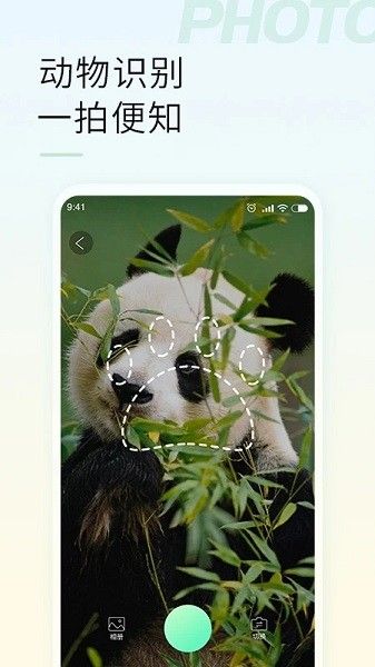 智能拍照识物免费软件v1.3.1 2