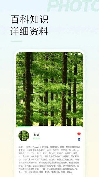 智能拍照识物免费软件v1.3.1 3