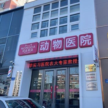 俺家蒲公英SPA日常
