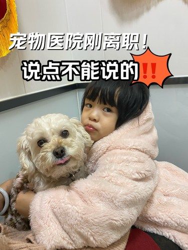 宠物医院刚离职～说点不能说的‼️