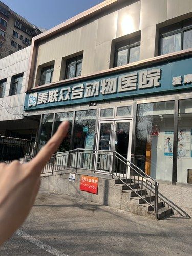 这家宠物医院彻底治愈我的焦虑症