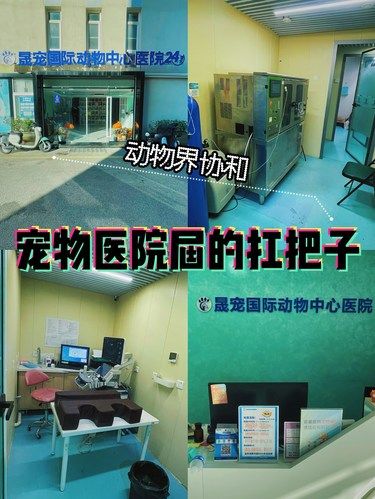 ‍⬛宠物CT哪家强⁉️让每一份安心都有CT守护‼️