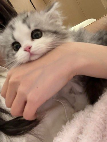 怎么办 舍不得打[流泪]