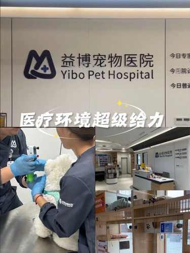 我的宠物医生梦想启航～