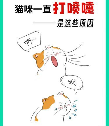 猫咪频繁打喷嚏？可能是这些原因在作祟