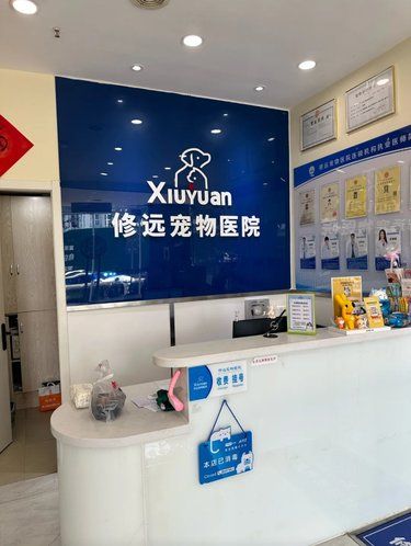 带狗从宠物医院出来 它身价又增长了！