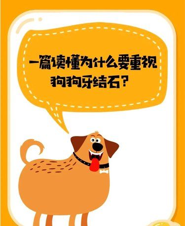 为什么要重视狗狗牙结石？