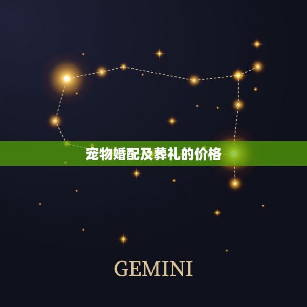 宠物婚配及葬礼的价格，宠物的殡葬费用得多少钱？ 第1张