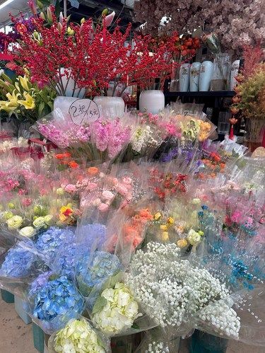 在徐州低成本的快乐！逛花鸟鱼市场！ 