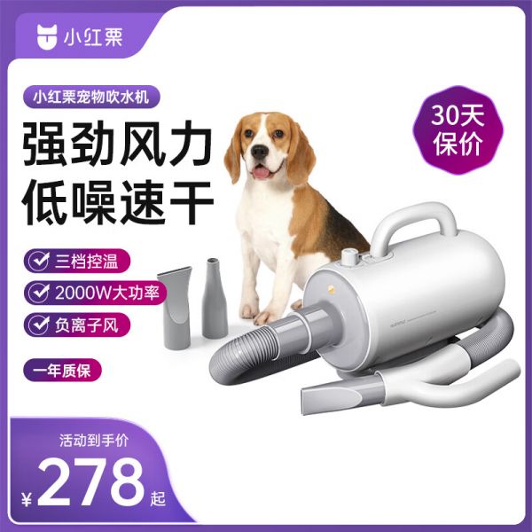 小红栗 REDMINUT 吹水机宠物吹风机狗狗吹水机吹毛吹干神器低噪大功率大型犬Mini白