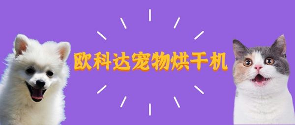 宠物烘干机 - 欧科达宠物烘干机