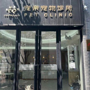 遇到靠谱良心的宠物医院绝对上大分❗️