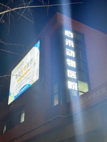 在将军路有一家被大家低估的店