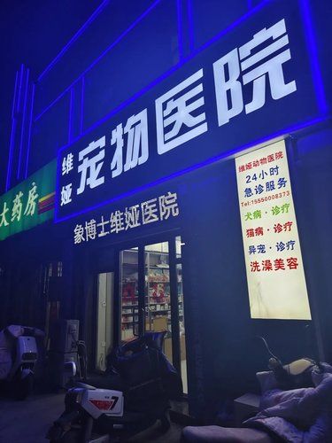 医术超赞 医心更美~