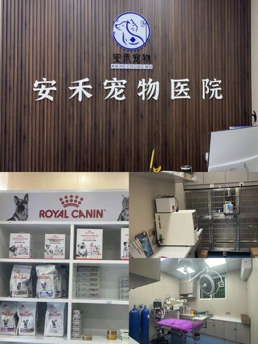 爱心宠物医院，专业呵护，陪伴毛孩健康成长！