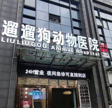 铲屎官必藏！这家医院让毛孩看病变成享受！