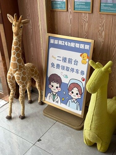 为什么这家医院不是开在我家楼下