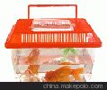 宝杰水族宠物用品有限公司