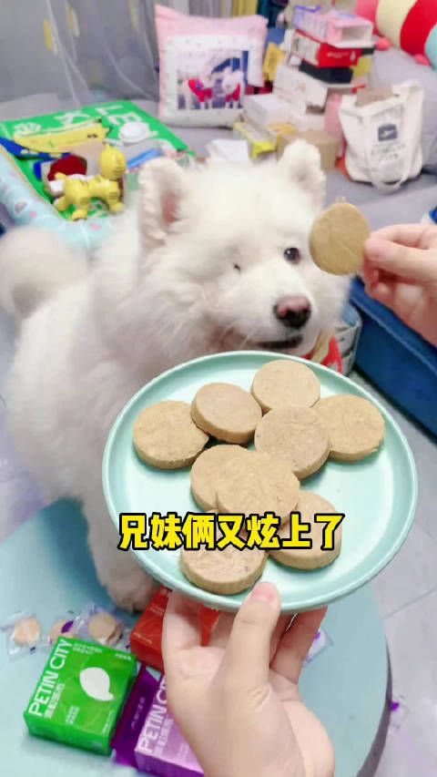家有萌宠 又炫上了，猫咪狗狗都可以吃的冻干零食……