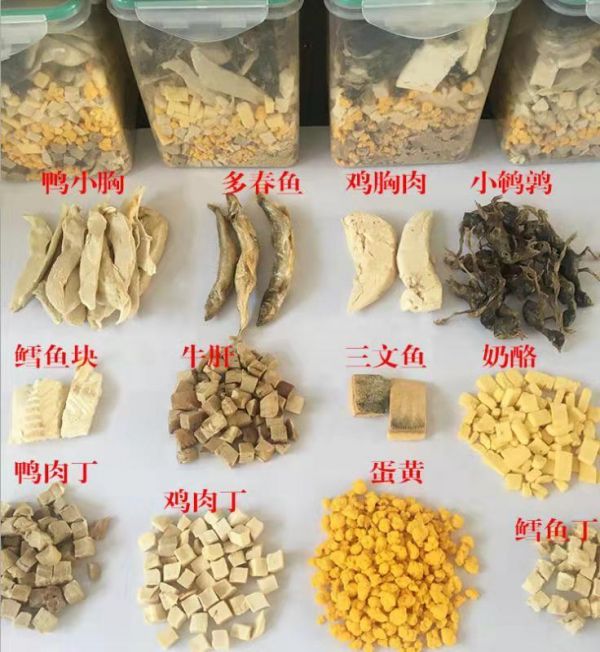 江西宠物零食冻干厂家