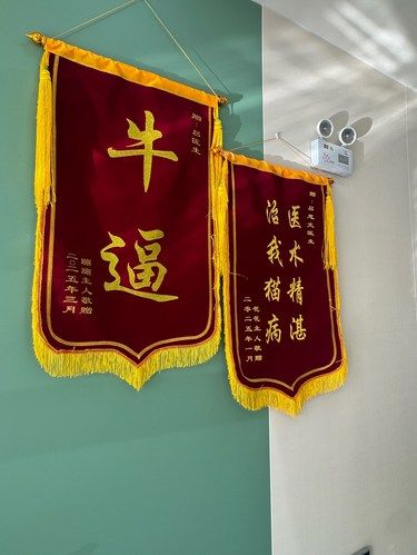 劲松七路上TOP级别的医生