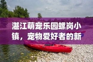 湛江萌宠乐园螺岗小镇，宠物爱好者的新天堂
