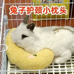 小兔子睡枕软趴垫解闷玩具陪伴啃咬磨牙睡觉抱枕宠物侏儒兔睡枕