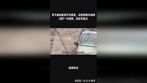 男子故地重游可可西里，没想到两年前喂过的一只藏獒，还在等自己