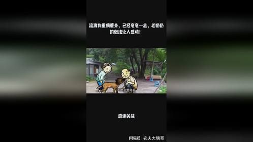 流浪狗重病缠身，已经奄奄一息，老奶奶的做法让人感动！