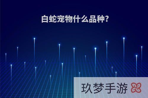 白蛇宠物什么品种?
