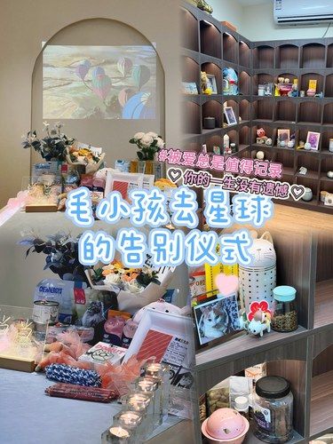 再见了我的小天使被爱过的痕迹，是永恒的