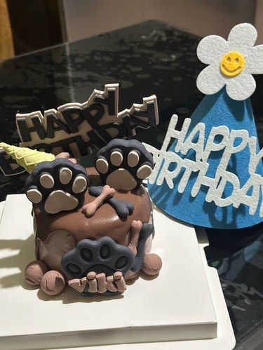 生日趴的狗狗