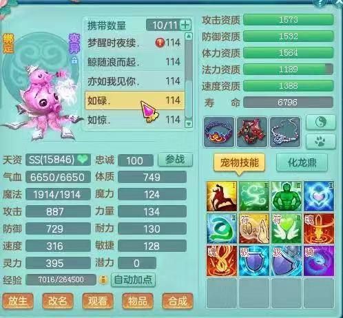 《神武3》电脑版：专属109级的章鱼小丸子，8技能舍身狼求打书？