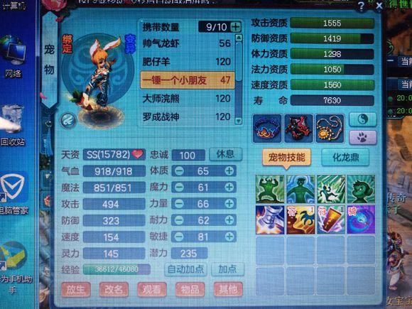《神武3》电脑版：冷门宠物月影兔，破碎之锤一下一个小朋友