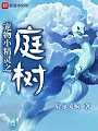 宠物小精灵之庭树