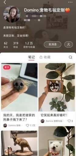 职观丨90后宠物毛毡师:用温暖的材料做有温度的作品 让逝去的宠物“重回”人间
