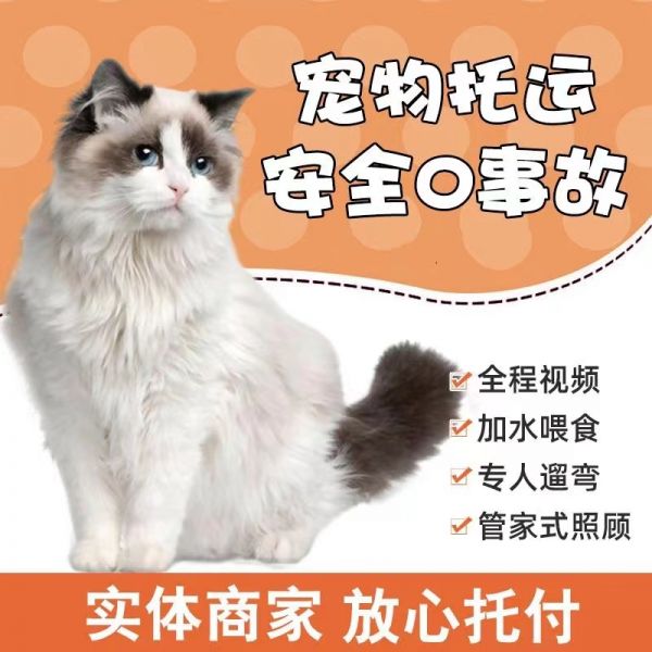 万州托运运输上门接宠