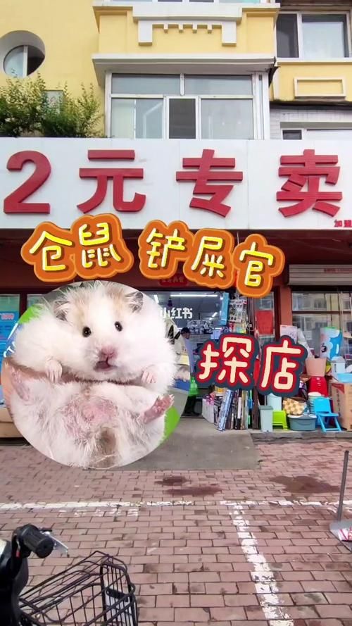 附近仓鼠宠物店万州（重庆仓鼠宠物店）