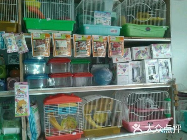 附近仓鼠宠物店万州（重庆仓鼠宠物店）
